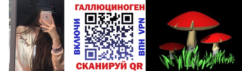 blacksprut ссылка  купить наркоту  Малая Вишера  это формула  Галлюциногенные грибы Psilocybe 
